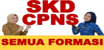 skd-cpns